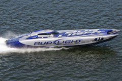 Bud Light Colors